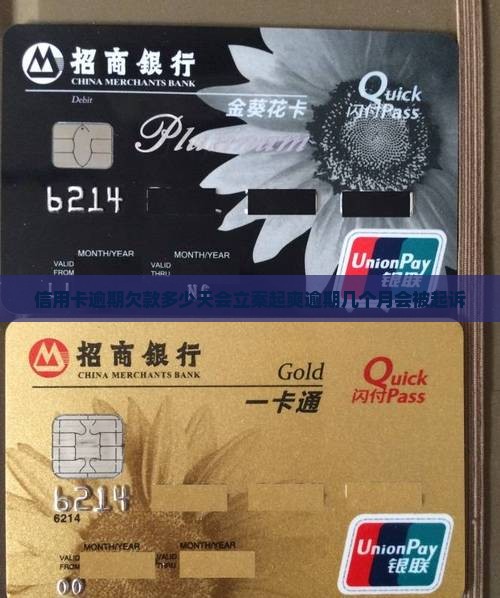 信用卡逾期欠款多少天会立案起爽逾期几个月会被起诉