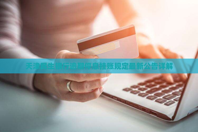 天津民生银行逾期停息挂账规定最新公告详解