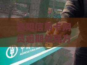 衡阳信用卡网贷逾期处理方法及最新解决方案