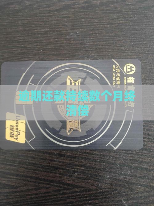 逾期还款持续数个月终清偿