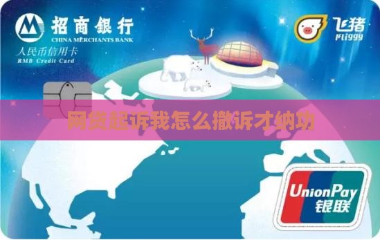 网贷起诉我怎么撤诉才纳功