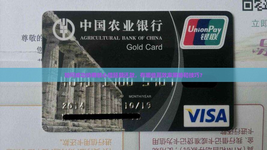 如何成功协商放心借延期还款，有哪些高效率策略和技巧？