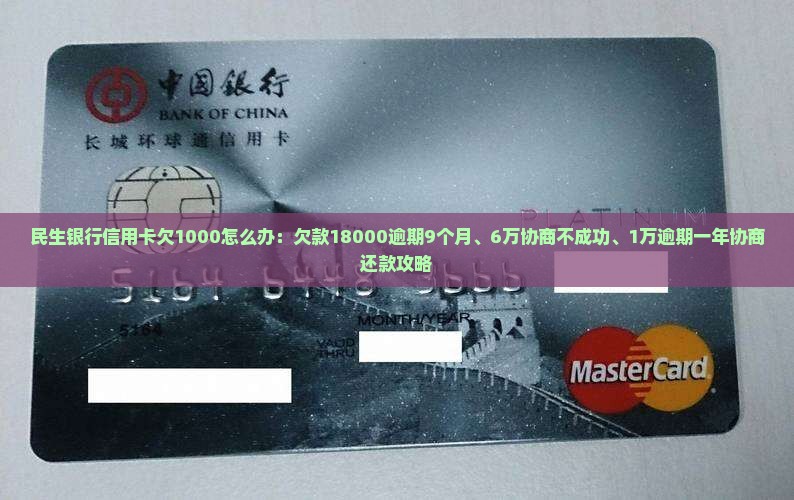 民生银行信用卡欠1000怎么办：欠款18000逾期9个月、6万协商不成功、1万逾期一年协商还款攻略