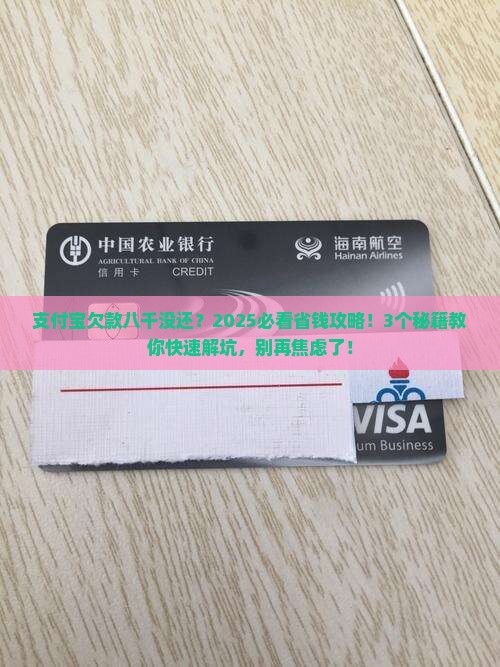 支付宝欠款八千未还怎么处理