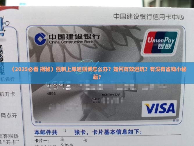 强制上岸逾期费怎么办才能解决