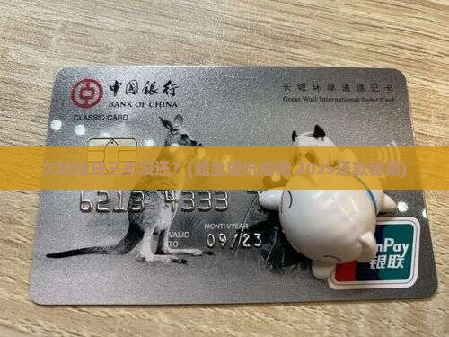 欠拍拍贷三年没还应该怎么办