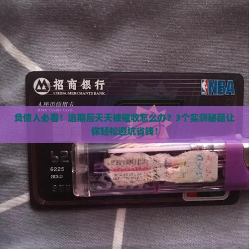 逾期后天天催收怎么办