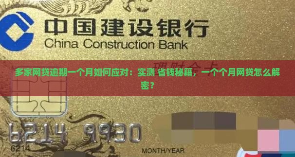 多家网贷逾期一个月如何应对