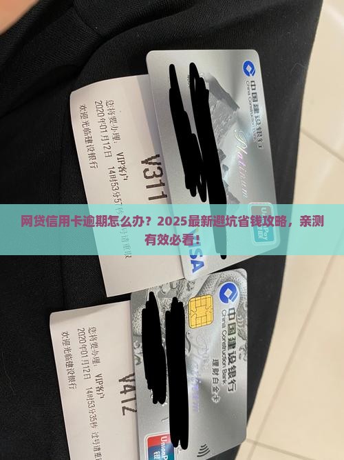 网贷跟信用卡逾期怎么处理