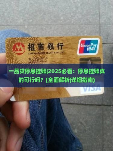 一品贷停息挂账