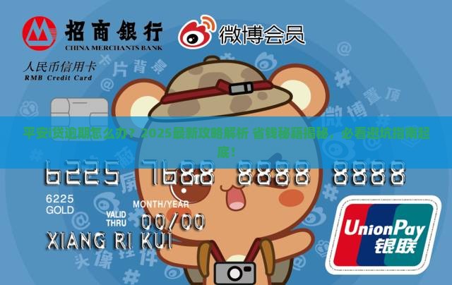 平安i贷逾期解决方法