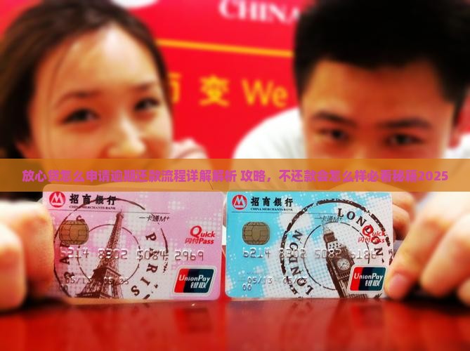 放心贷怎么申请逾期还款流程详解