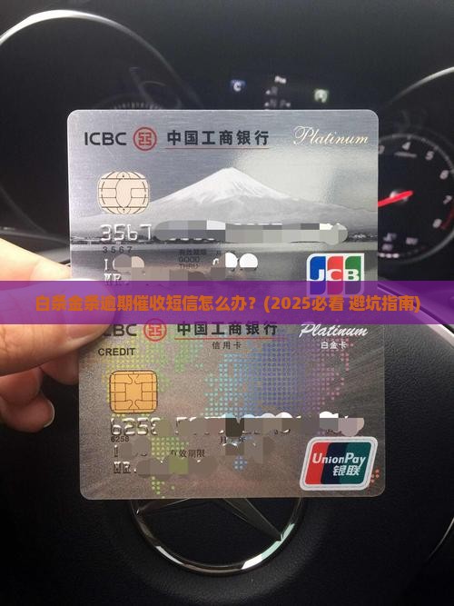 白条金条逾期催收短信怎么处理