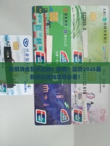 哈银消金暂停还款如何处理 哈银消金暂停还款如何处理