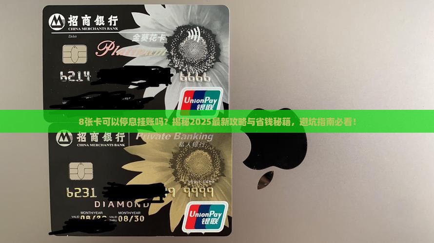 8张卡可以停息挂账吗
