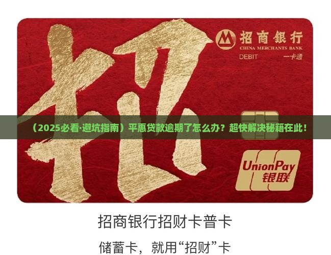平惠贷款逾期处理方法及最快逾期解决方案
