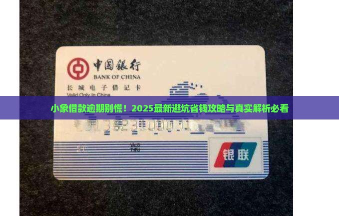 小象借款逾期如何处理