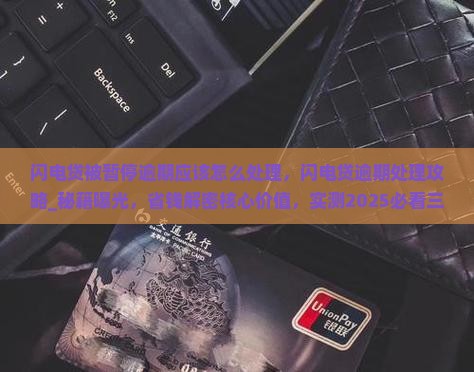 闪电贷被暂停逾期应该怎么处理