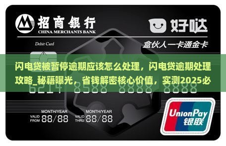 闪电贷被暂停逾期应该怎么处理