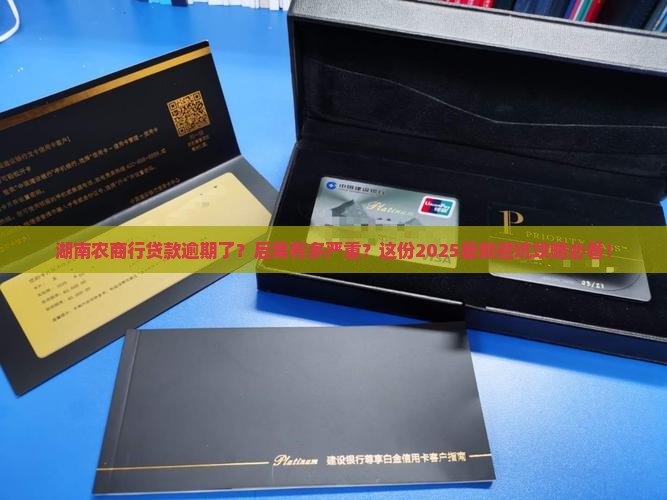 湖南农商行贷款逾期后果及解决方法