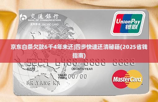 京东白条欠款6千4年未还
