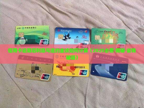 信用卡逾期后利息与违约金该如何计算