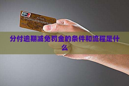 分付逾期减免罚金的条件和流程