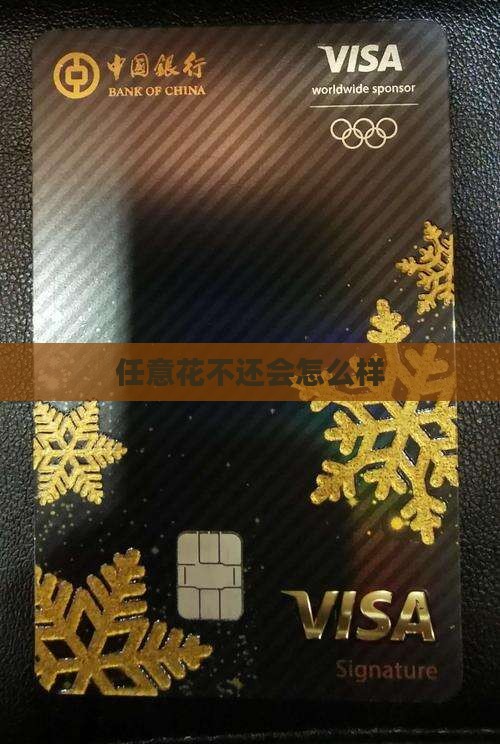 任意花不还会怎么样