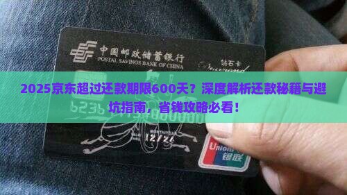 京东超过还款期限600天