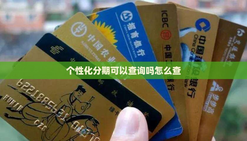 个性化分期可以查询吗怎么查