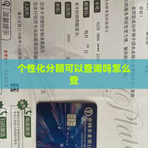 个性化分期可以查询吗怎么查