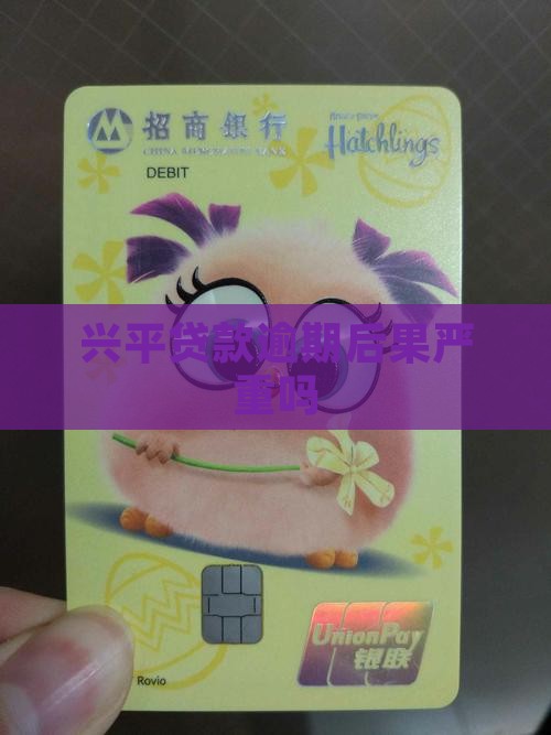 兴平贷款逾期后果严重吗