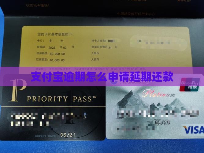 支付吧延期还款怎么还的