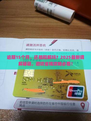 逾期15个月如何调解