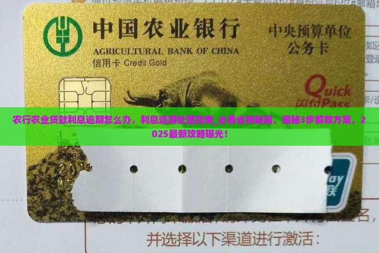农行农业贷款利息逾期怎么办
