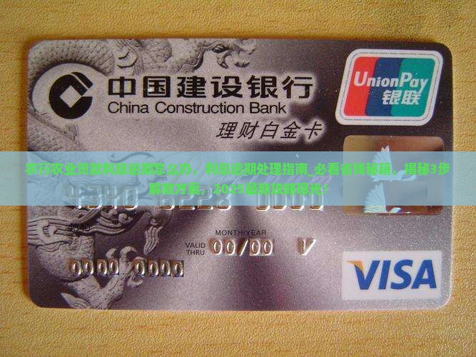 农行农业贷款利息逾期怎么办