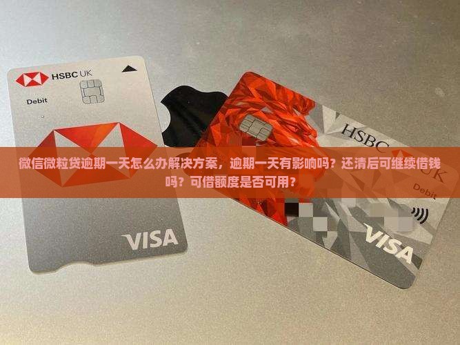微信微粒贷逾期一天怎么办解决方案