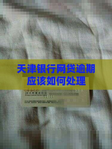 天津银行网贷逾期应该如何处理