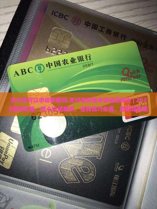 支付宝可以申请停催吗