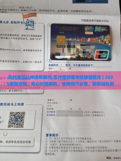 支付宝可以申请停催吗