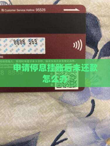 申请停息挂账后未还款怎么办