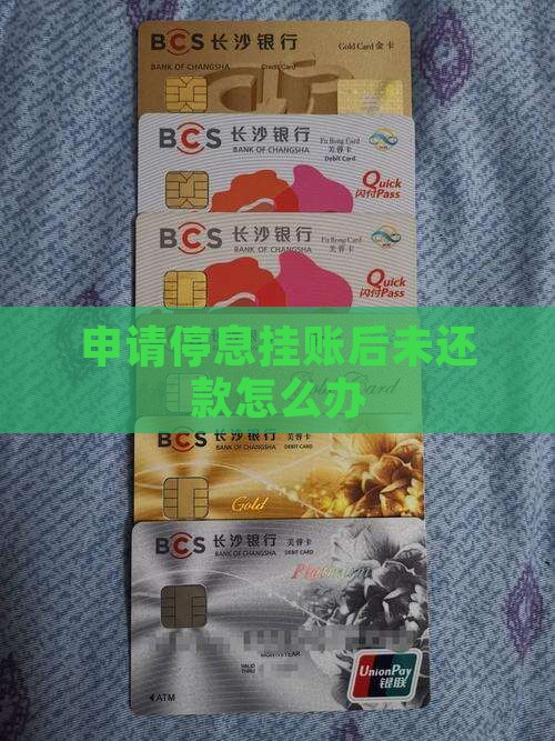 申请停息挂账后未还款怎么办