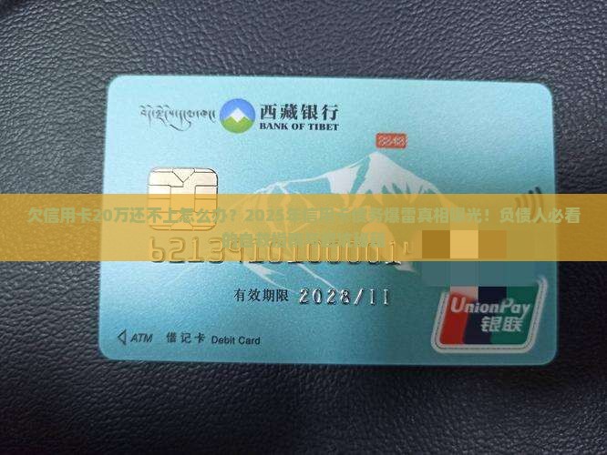 欠信用卡20万还不上怎么办
