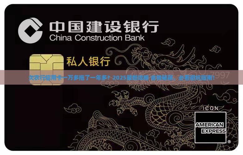 欠农业银行信用卡一万多已经一年多了该怎么办