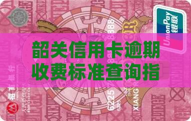 韶关信用卡逾期收费标准查询指南