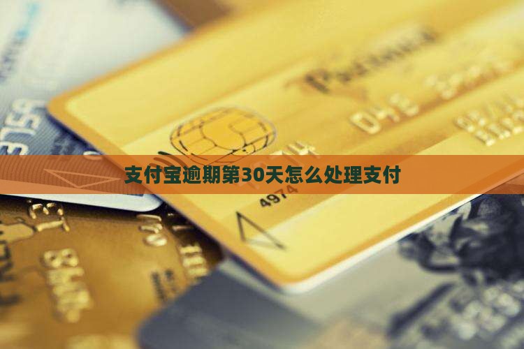 支付宝逾期第30天应该怎么处理