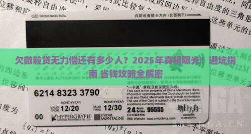欠微粒贷无力偿还有多少人