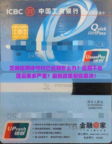 芝麻信用待守约已逾期怎么办