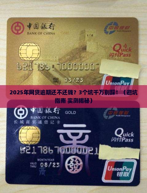 网贷逾期还不还钱怎么办