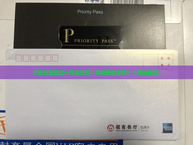 欠支付宝超过一万会怎么样需要承担什么后果